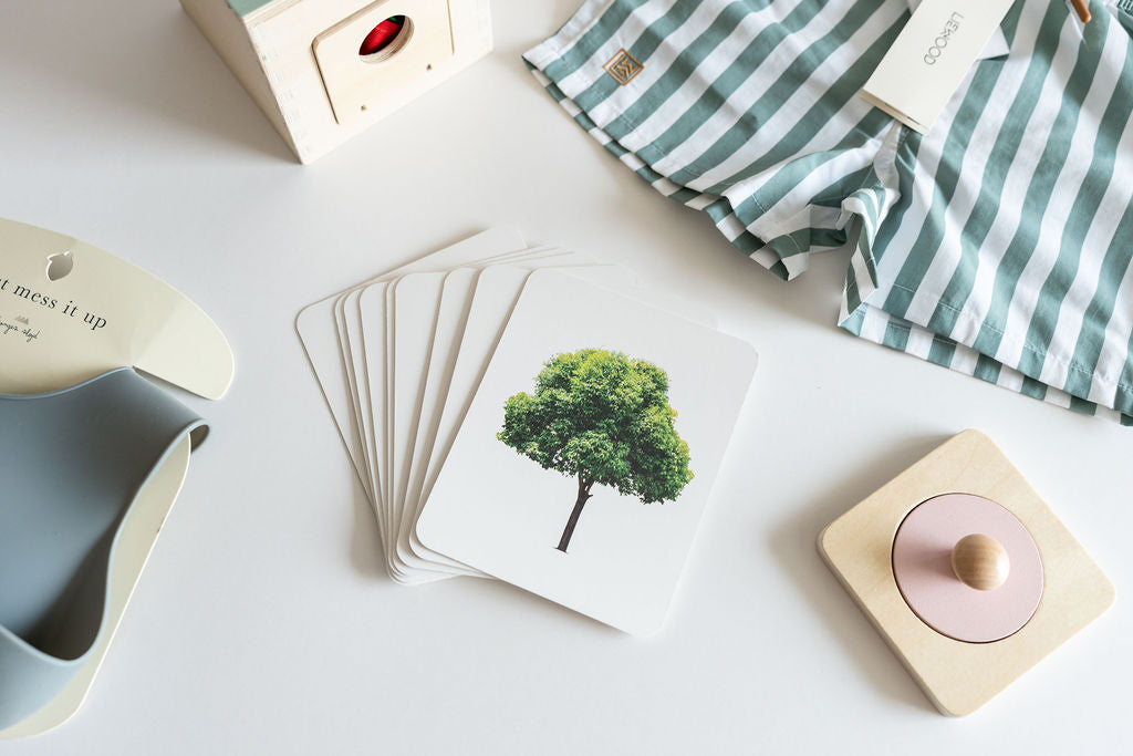 Snugglebox Infant Toy & Clothing Box (12-24 Months) - Developmental & Educational