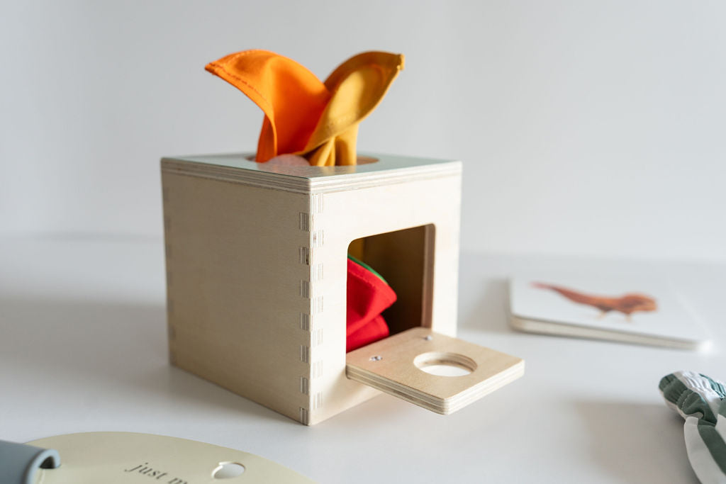 Snugglebox Infant Toy & Clothing Box (12-24 Months) - Developmental & Educational